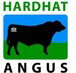 Hardhat Angus - Builder Find